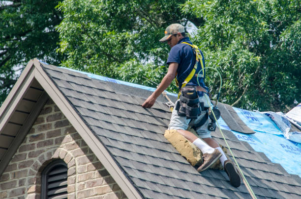 Best Storm Damage Roof Repair  in Shamrock, TX